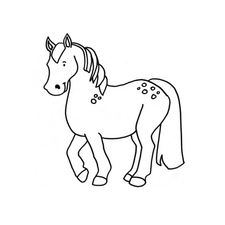 Un poney galopant dans un champ verdoyant