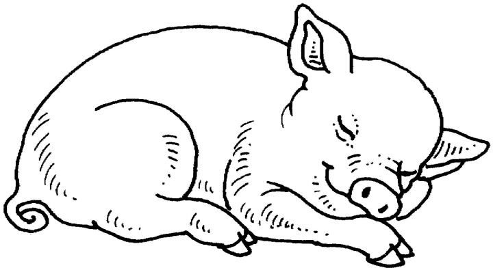 Coloriage d'un adorable porc dans un cadre champêtre
