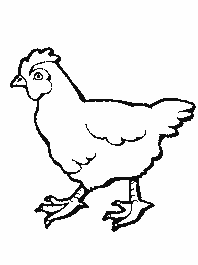 Coloriage d'une poule se promenant dans un champ