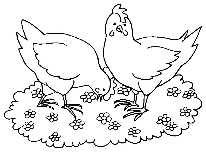 Coloriage d'une poule perchée sur une clôture en bois dans un paysage rural