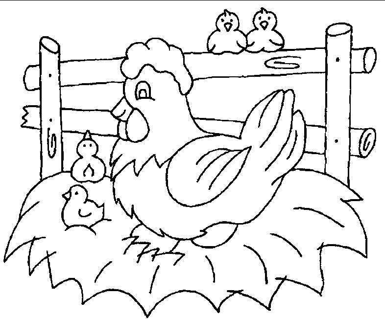 Une poule curieuse explorant son environnement champêtre