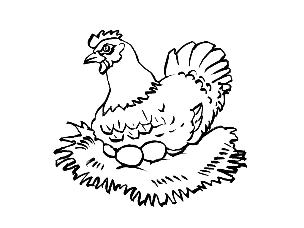 Coloriage d'une poule en train de picorer dans un champ