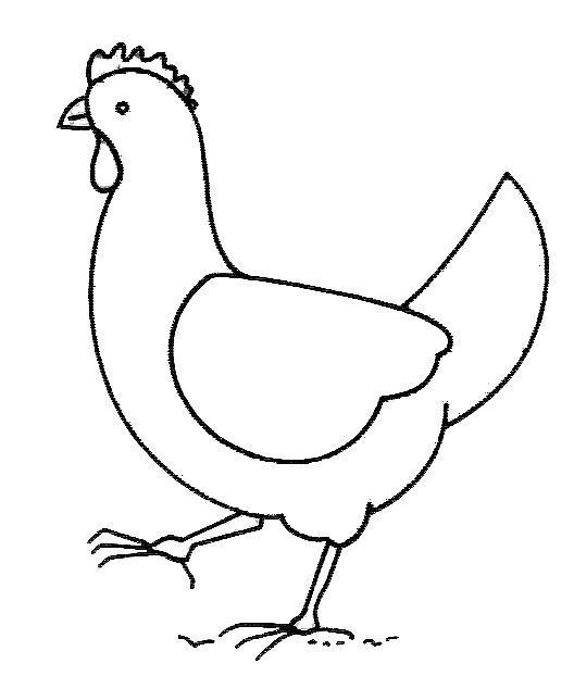 Coloriage d'une poule dans un environnement naturel