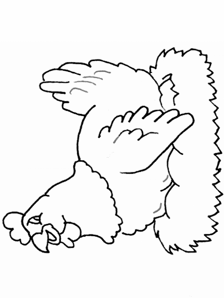 Image d'une poule se tenant sur un sol en herbe