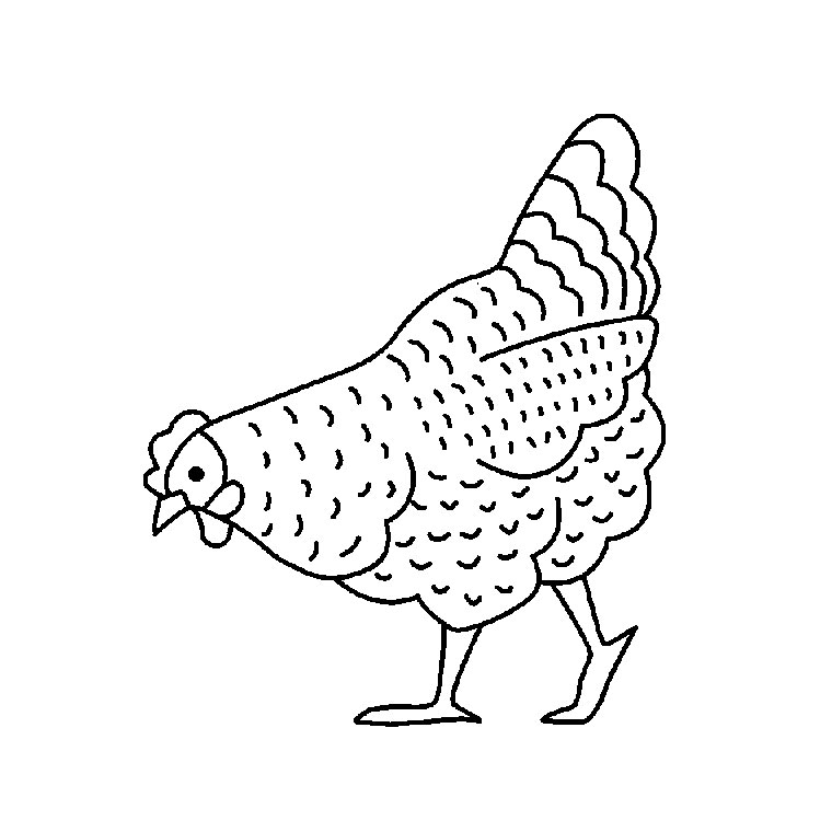 Une poule en train de picorer dans un champ verdoyant