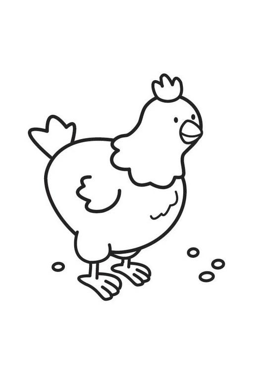 Coloriage d'une poule se promenant dans la cour Coloriage d'une poule se promenant dans la cour