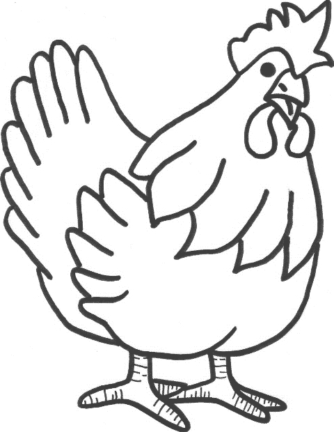 Coloriage d'une poule dans un environnement rural