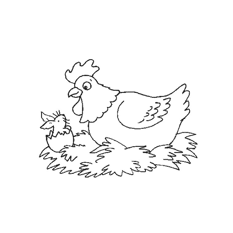 Coloriage d'une poule sur un fond simple