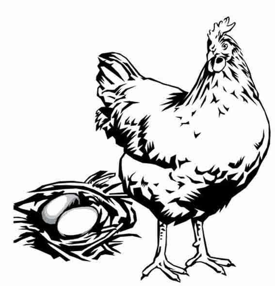 Une poule joyeuse dans un environnement campagnard