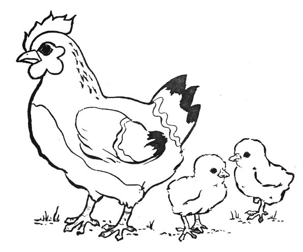 Une poule joyeuse sur un fond pastoral