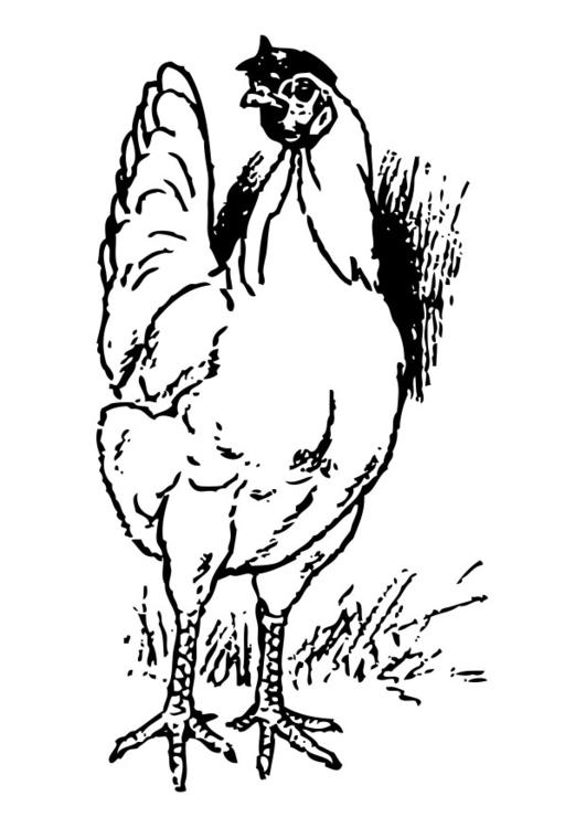 Coloriage d'une poule dans un paysage rural