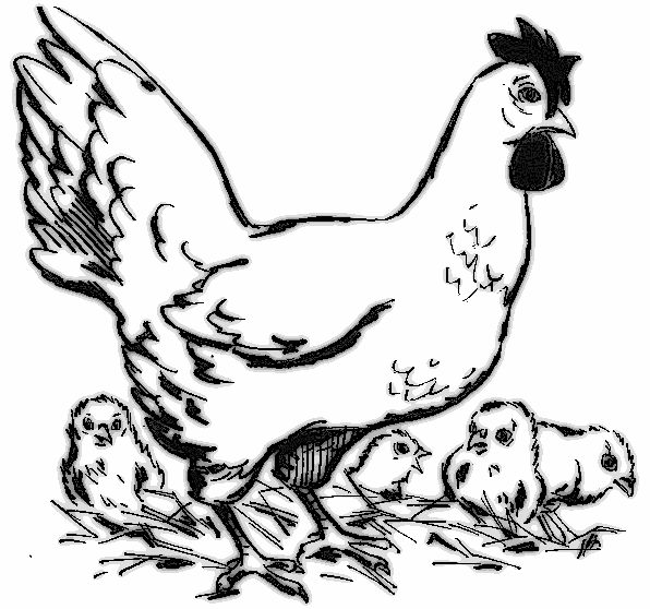 Coloriage d'une poule en plein jardin avec des fleurs