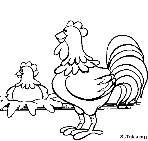 Coloriage d'une poule sur un fond simple