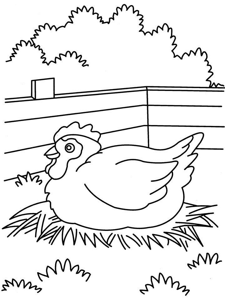 Coloriage d'une poule dans un décor pastoral