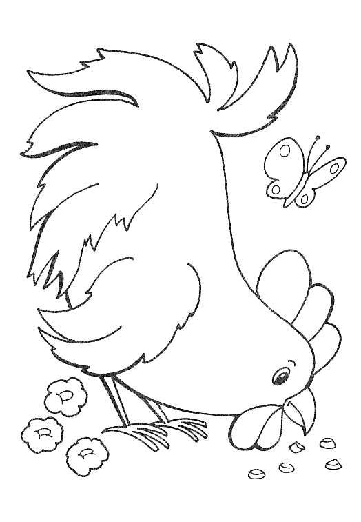 Coloriage d'une poule au plumage varié sur fond simple