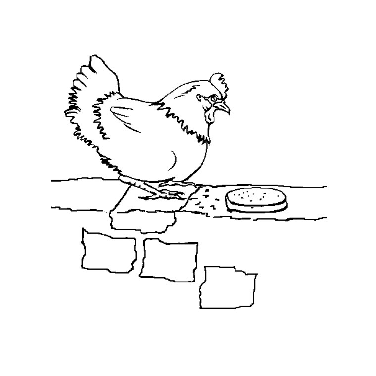 Coloriage d'une poule en pleine promenade dans la nature