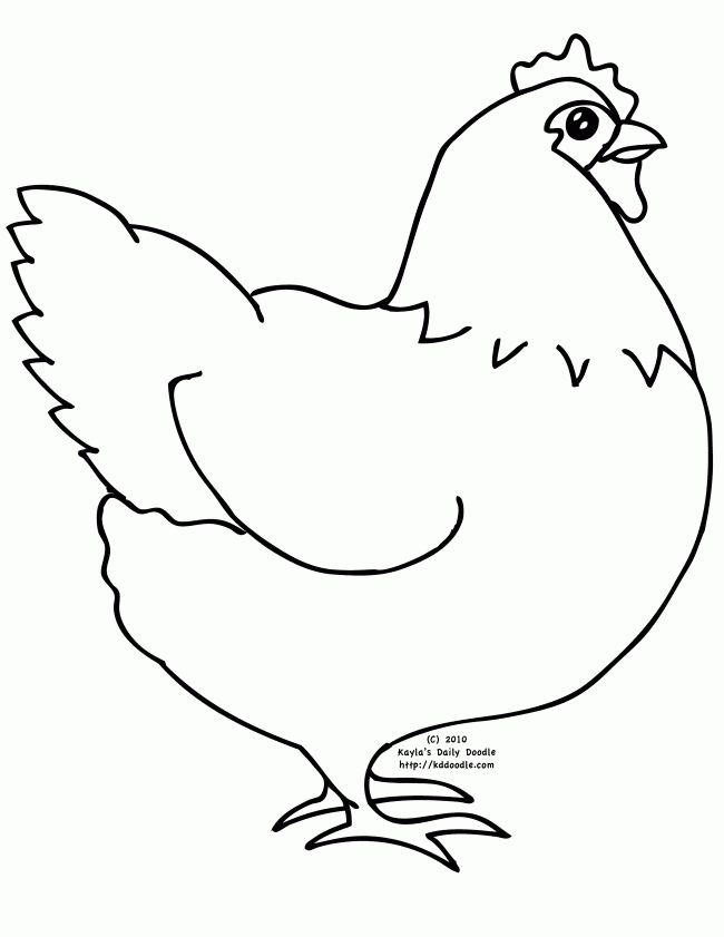 Un poulet coloré dans un champ ensoleillé