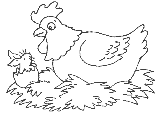 Un poulet en plein jour sur un fond pastoral