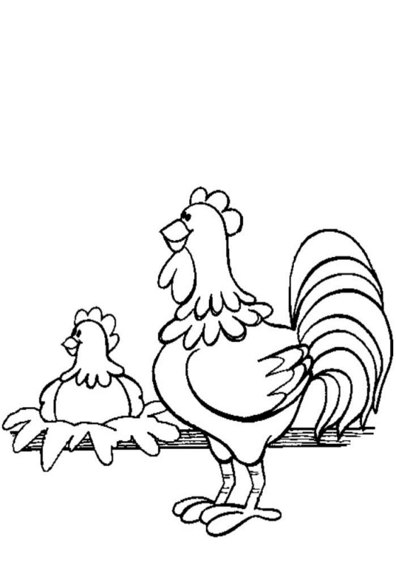 Un poulet joyeux dans un champ verdoyant