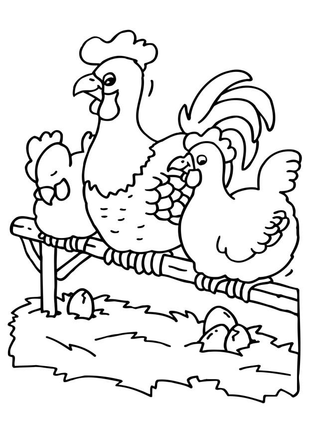 Coloriage d'un poulet joyeux dans un paysage rural