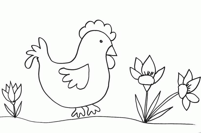 Coloriage d'un poulet joyeux dans un champ fleuri