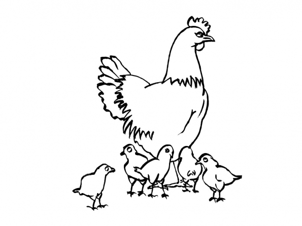 Coloriage d'un poulet joyeux dans un champ ensoleillé Coloriage d'un poulet joyeux dans un champ ensoleillé