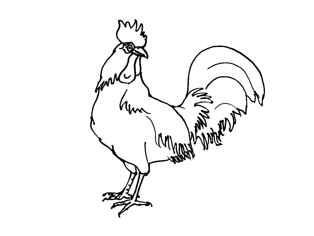 Coloriage d'un poulet mignon dans un décor champêtre