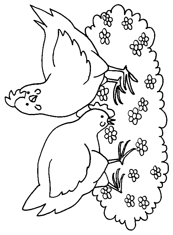 Coloriage d'un poulet amusant dans un décor de ferme