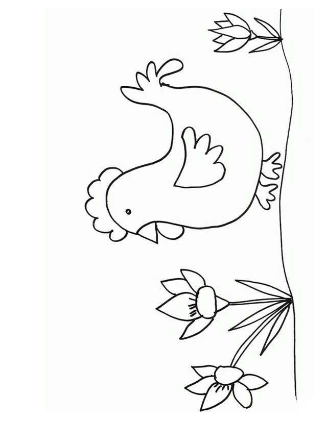 Un poulet joyeux se promenant dans la nature