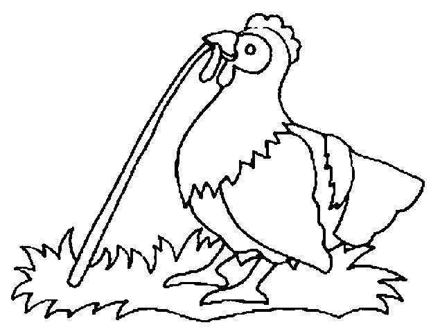 Coloriage d’un poulet joyeux dans un environnement champêtre