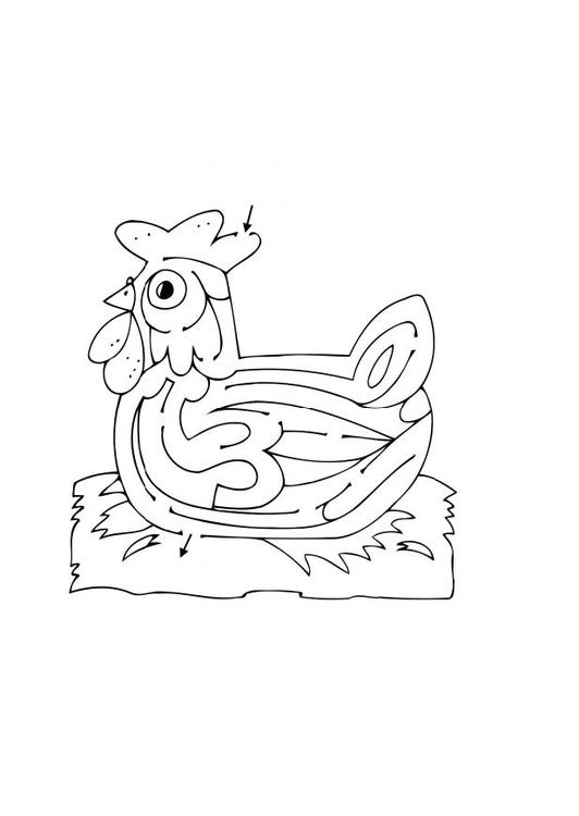 Coloriage d'un poulet amusant dans une prairie ensoleillée