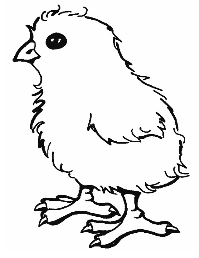 Un poussin joyeux se prélasse sur un lit d'herbe