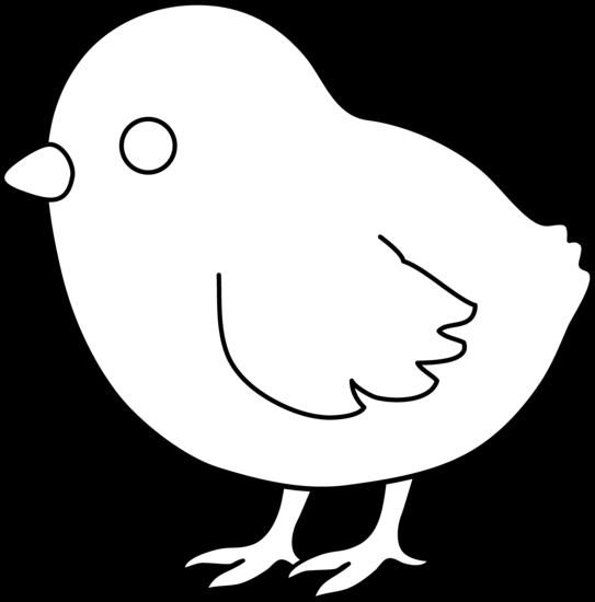 Un poussin curieux dans son environnement printanier