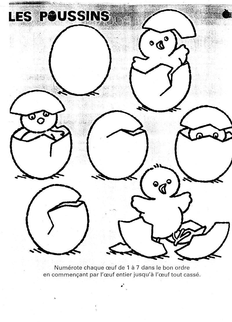 Poussin joyeux sur un fond simple