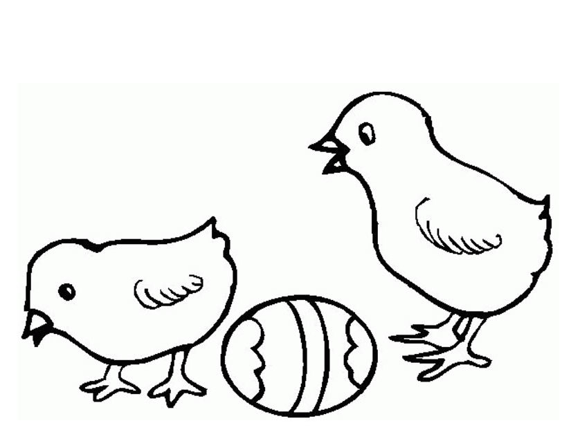 Un poussin joyeux jouant dans un champ fleuri