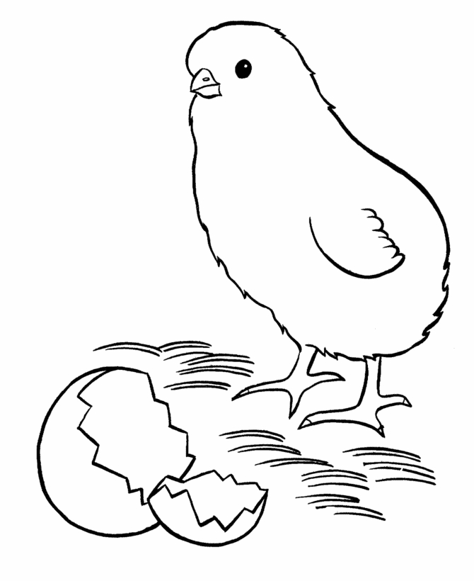 Un poussin joyeux au milieu de fleurs et d'herbe