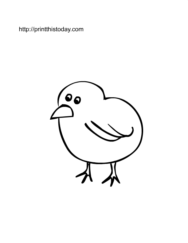 Un poussin joyeux perchée sur une branche au milieu de fleurs Un poussin joyeux perchée sur une branche au milieu de fleurs