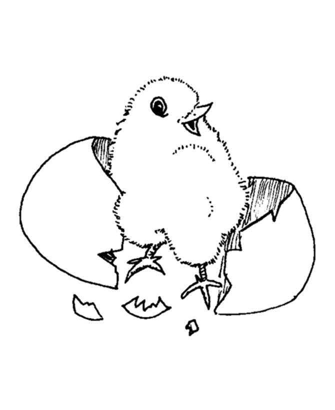 Un poussin joyeux explorant son environnement printanier