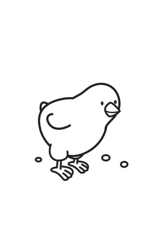 Un poussin joyeux au milieu de fleurs printanières