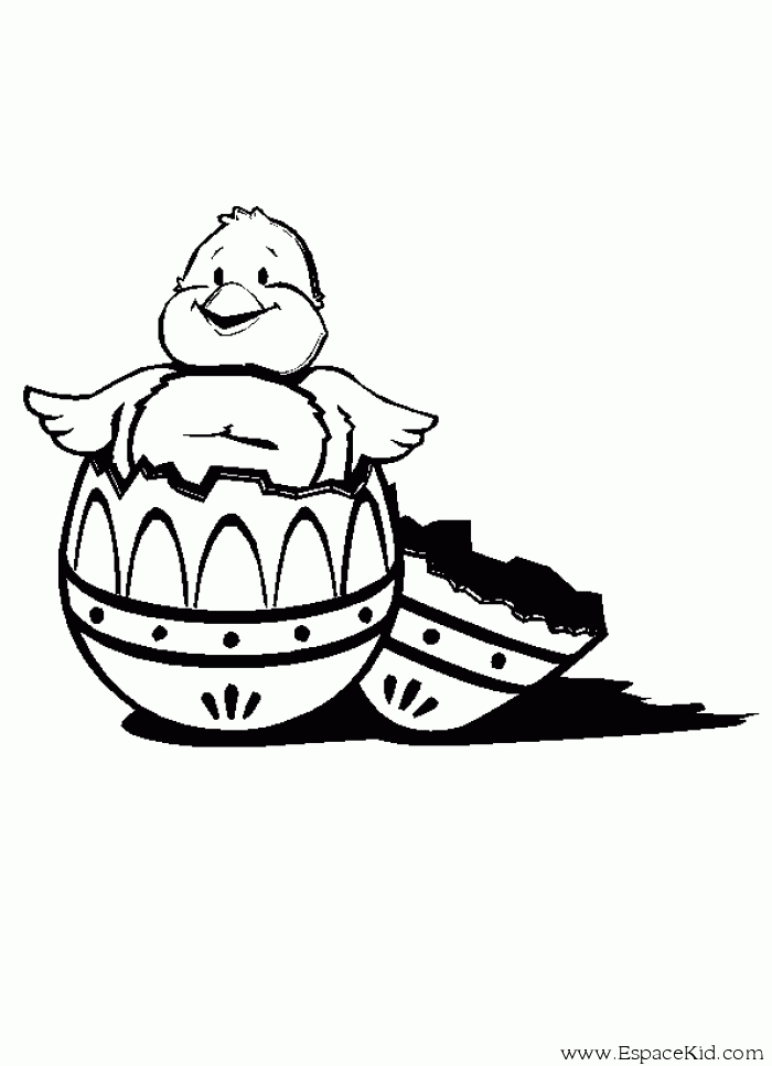 Un poussin joyeux sur un fond naturel