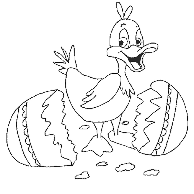 Coloriage d'un poussin mignon dans un cadre naturel