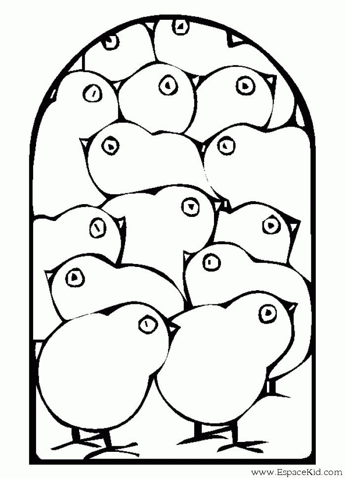 Un poussin joyeux parmi des fleurs et des herbes