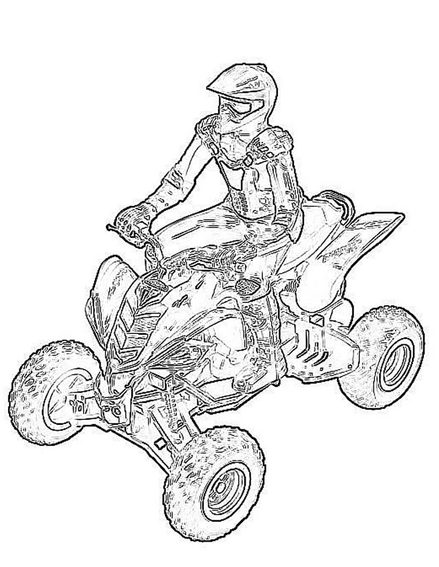 Quad tout-terrain sur un chemin en pleine nature
