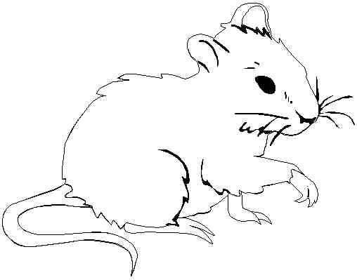 Un rat espiègle explorant un paysage naturel