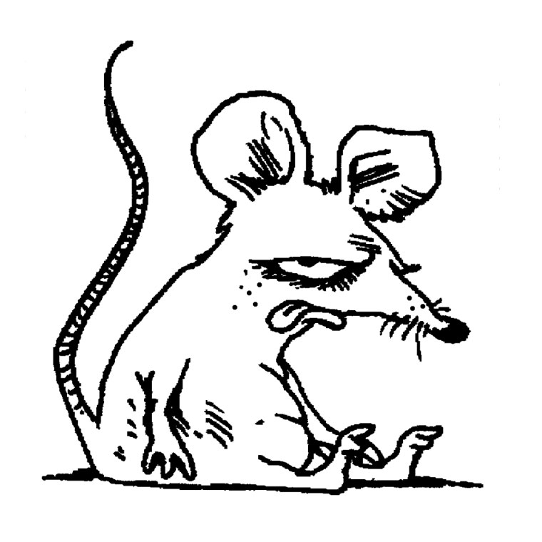 Coloriage d'un rat dans une posture curieuse