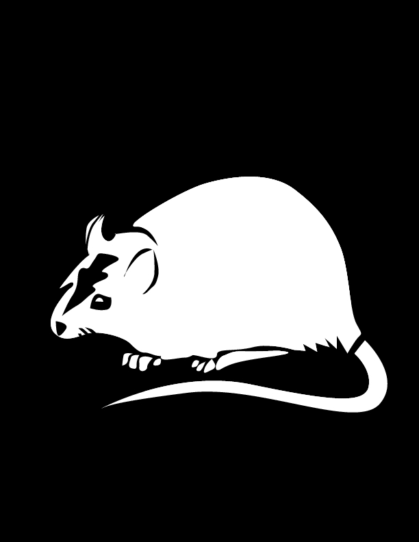 Un rat curieux explorant son environnement