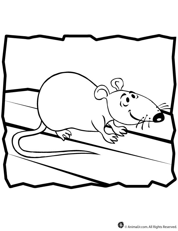 Un rat curieux se promenant dans la forêt