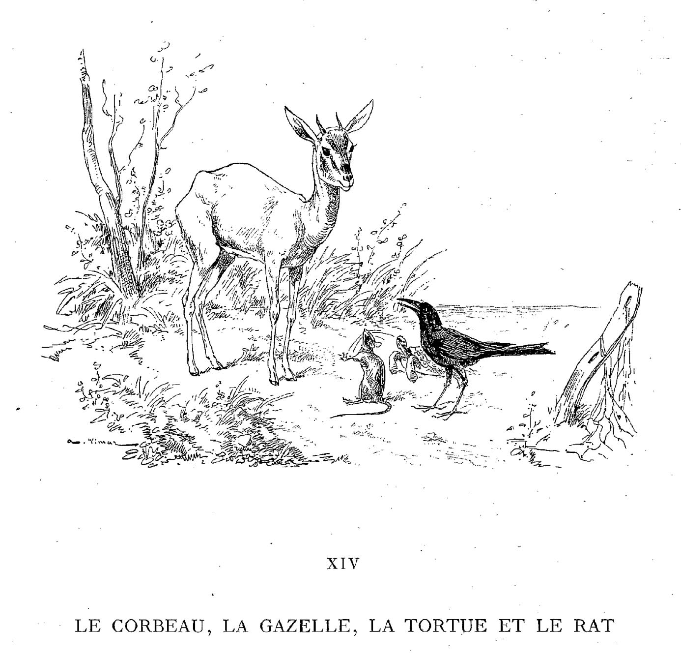 Un rat curieux explorant un environnement naturel