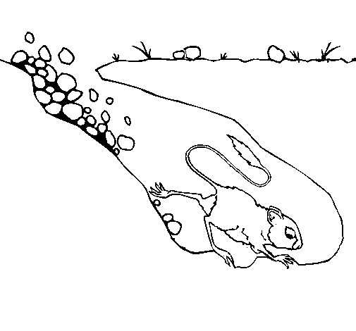 Un rat curieux explorant son environnement Un rat curieux explorant son environnement