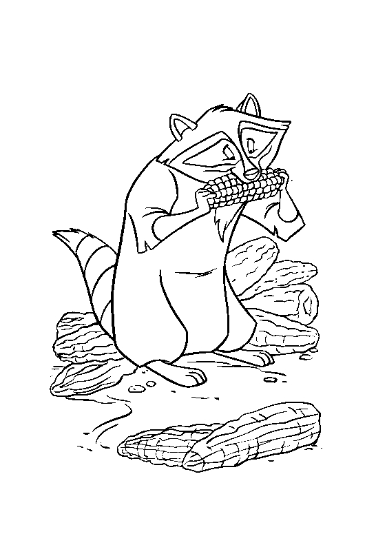 Raton laveur en pleine exploration dans la nature